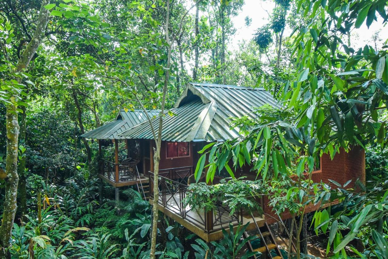 Monsoon Retreats Ecostay- Treehouse Thekkady Dış mekan fotoğraf