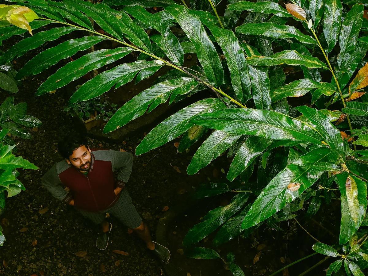 Monsoon Retreats Ecostay- Treehouse Thekkady Dış mekan fotoğraf