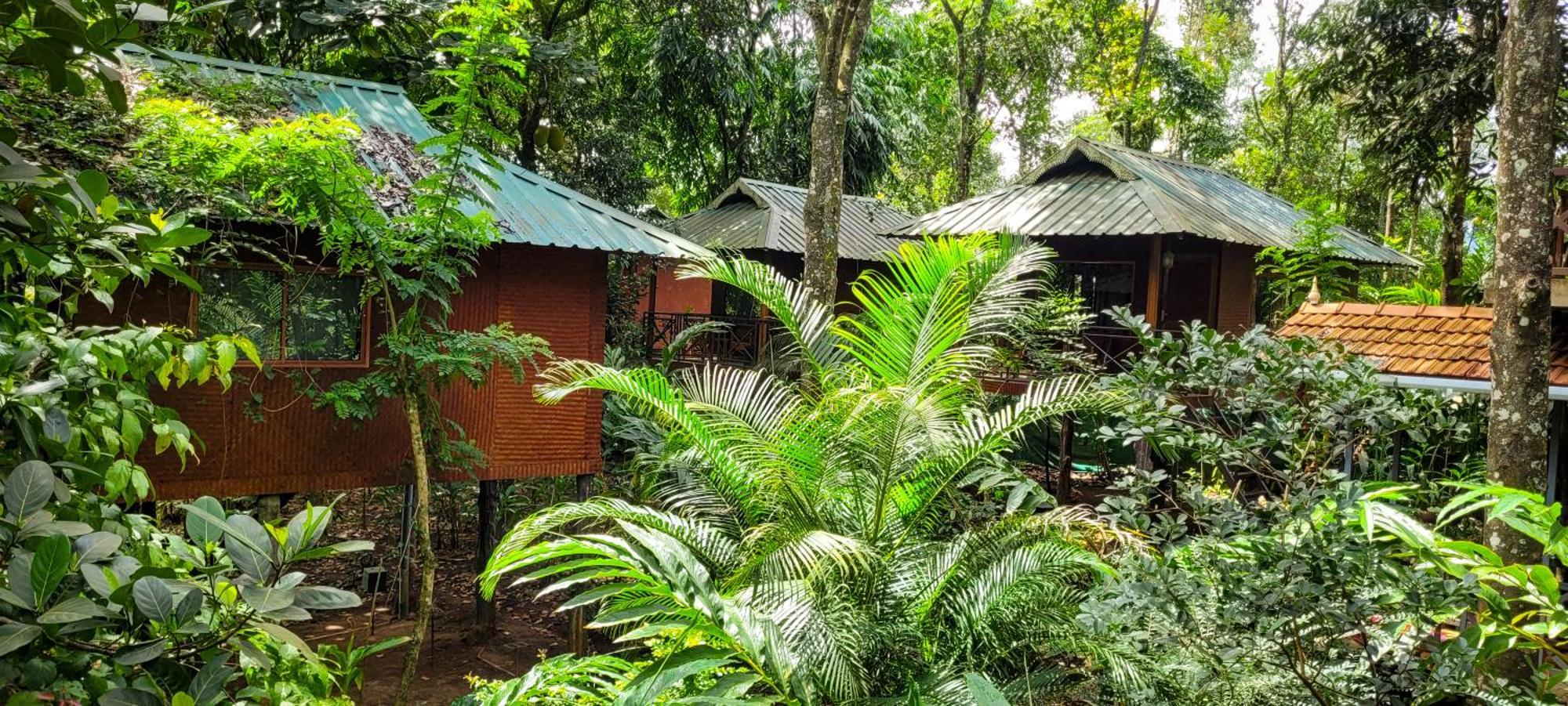 Monsoon Retreats Ecostay- Treehouse Thekkady Dış mekan fotoğraf