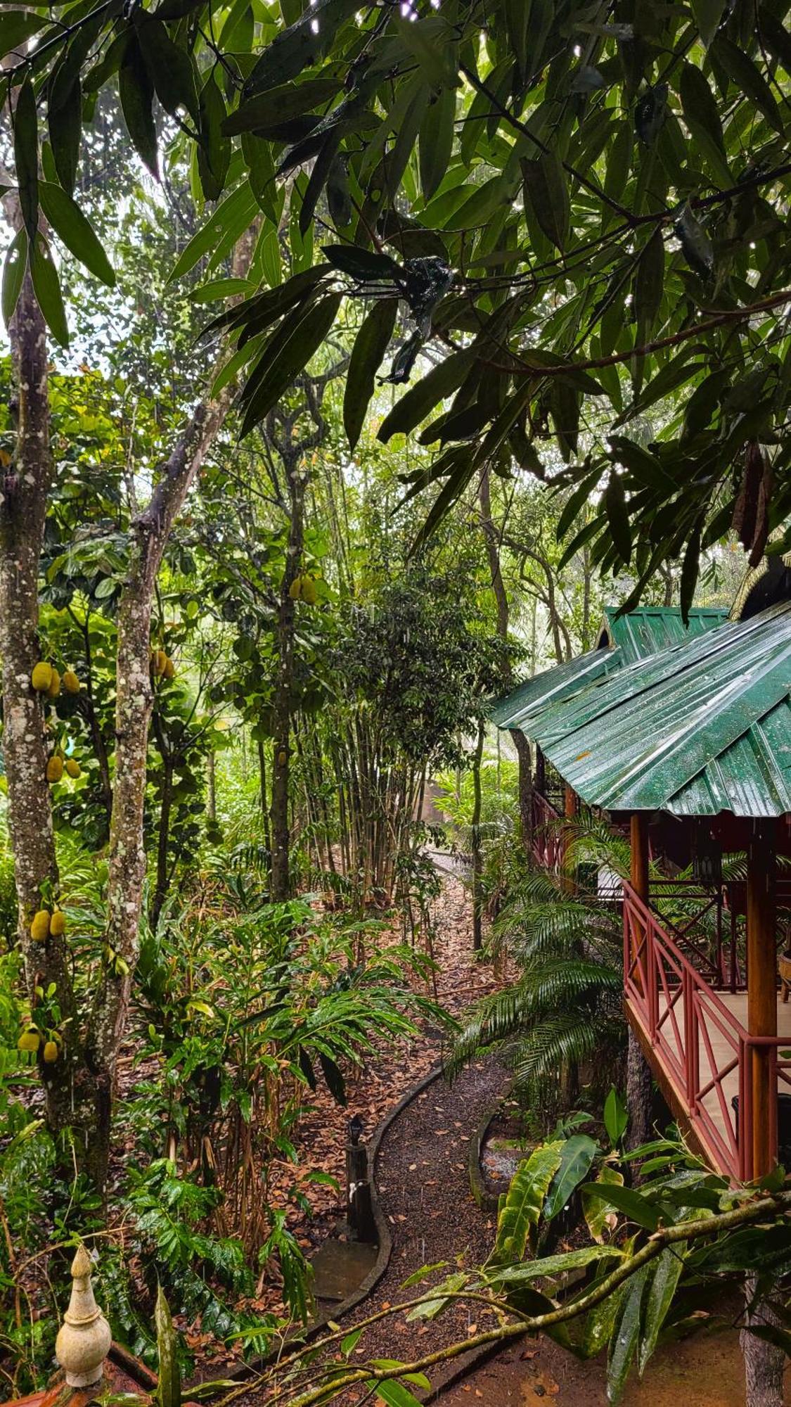 Monsoon Retreats Ecostay- Treehouse Thekkady Dış mekan fotoğraf