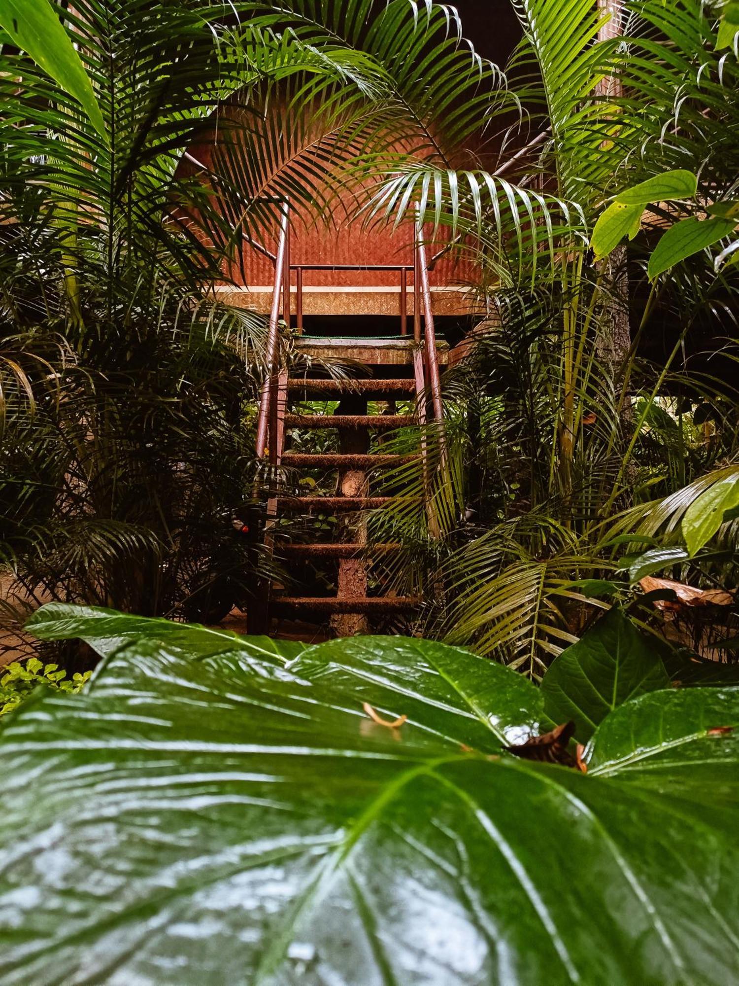 Monsoon Retreats Ecostay- Treehouse Thekkady Oda fotoğraf