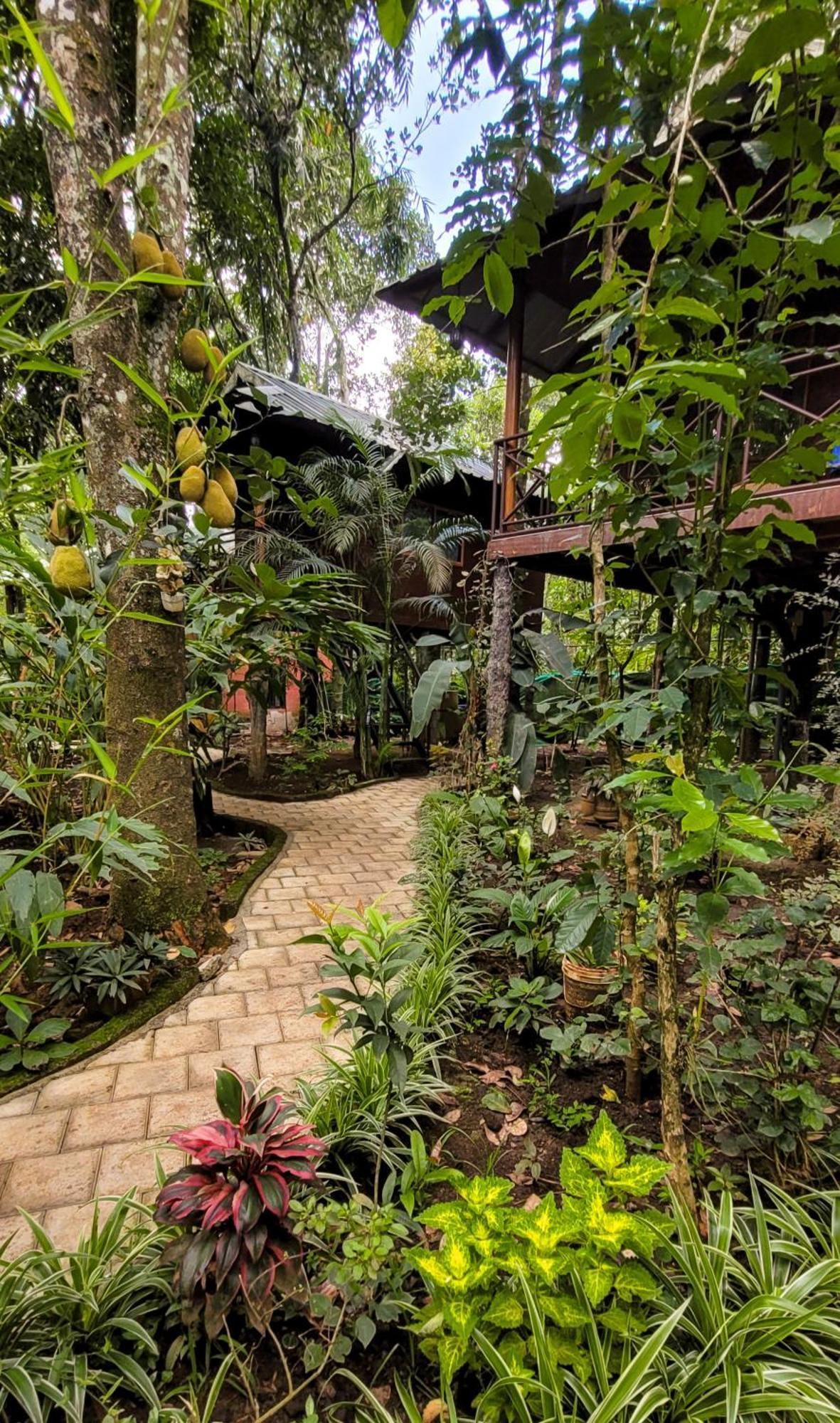 Monsoon Retreats Ecostay- Treehouse Thekkady Dış mekan fotoğraf