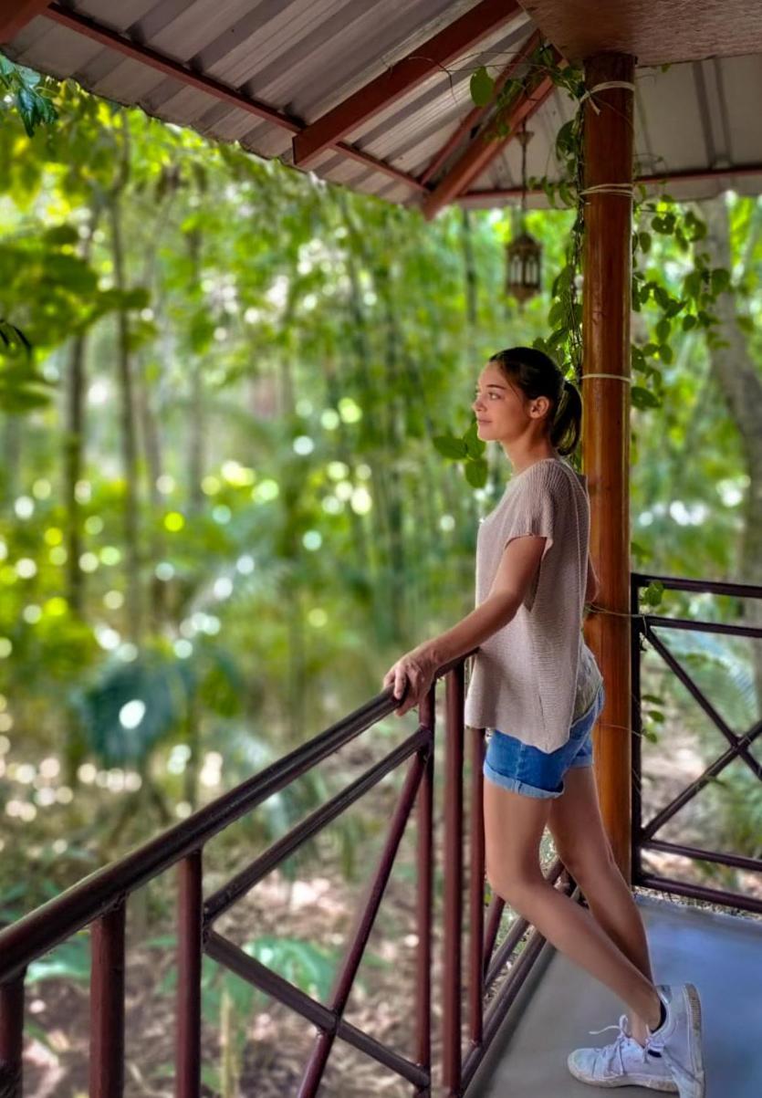 Monsoon Retreats Ecostay- Treehouse Thekkady Dış mekan fotoğraf