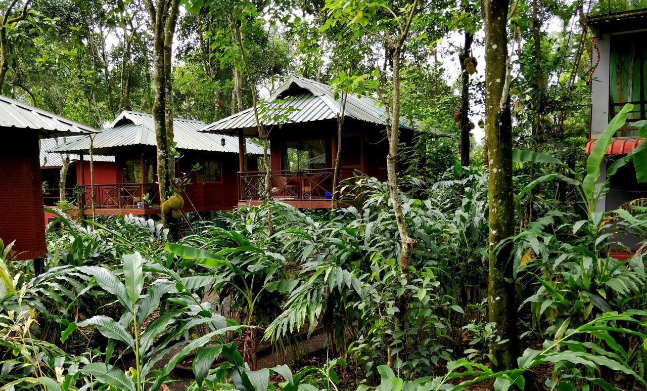 Monsoon Retreats Ecostay- Treehouse Thekkady Dış mekan fotoğraf