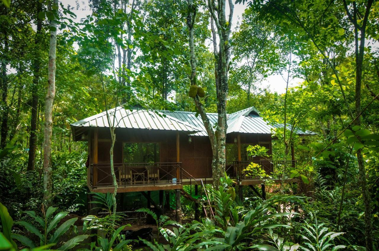 Monsoon Retreats Ecostay- Treehouse Thekkady Dış mekan fotoğraf