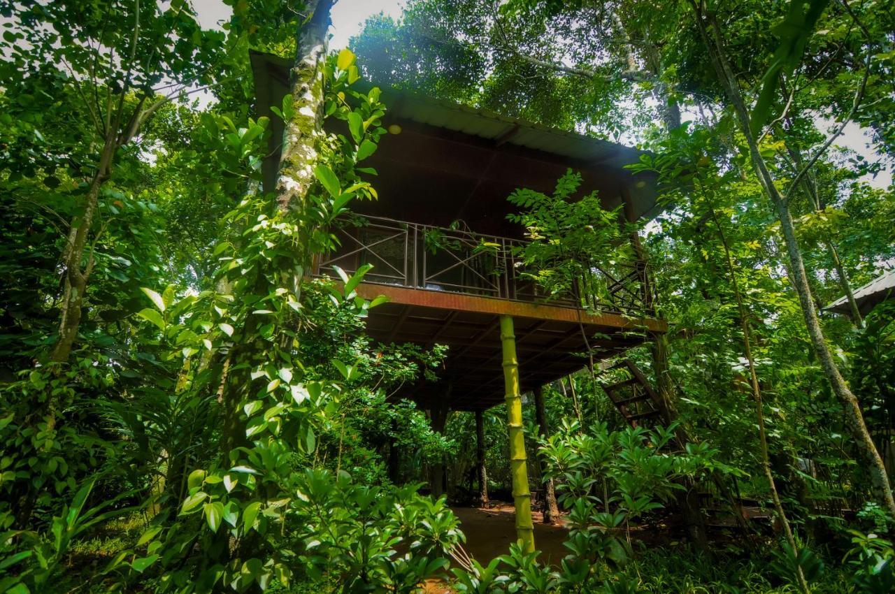 Monsoon Retreats Ecostay- Treehouse Thekkady Dış mekan fotoğraf