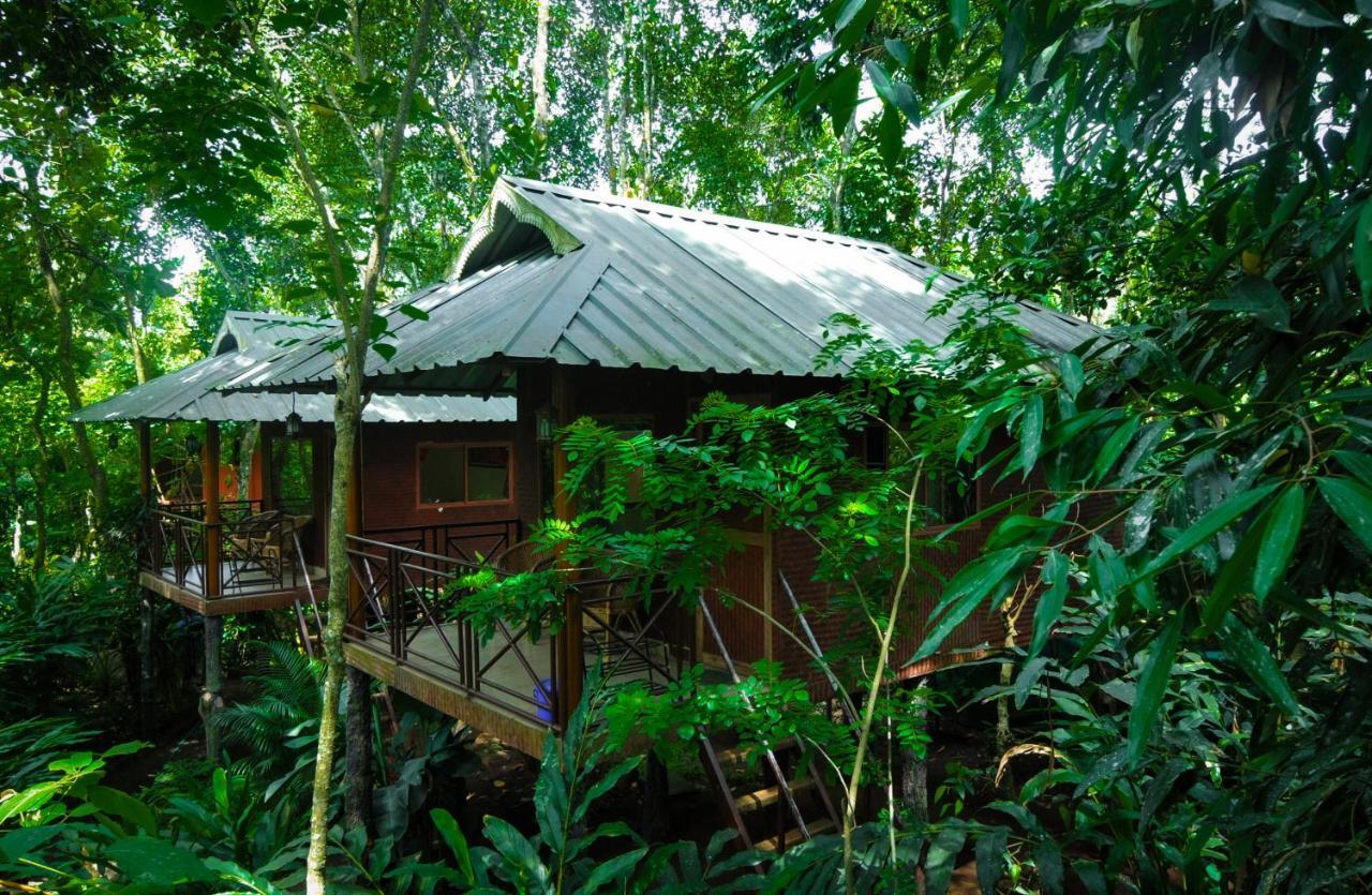Monsoon Retreats Ecostay- Treehouse Thekkady Dış mekan fotoğraf