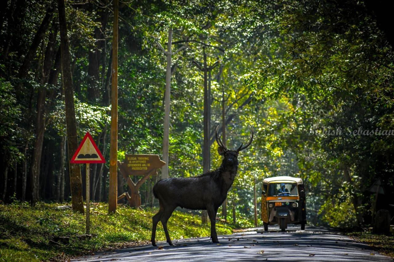 Monsoon Retreats Ecostay- Treehouse Thekkady Dış mekan fotoğraf
